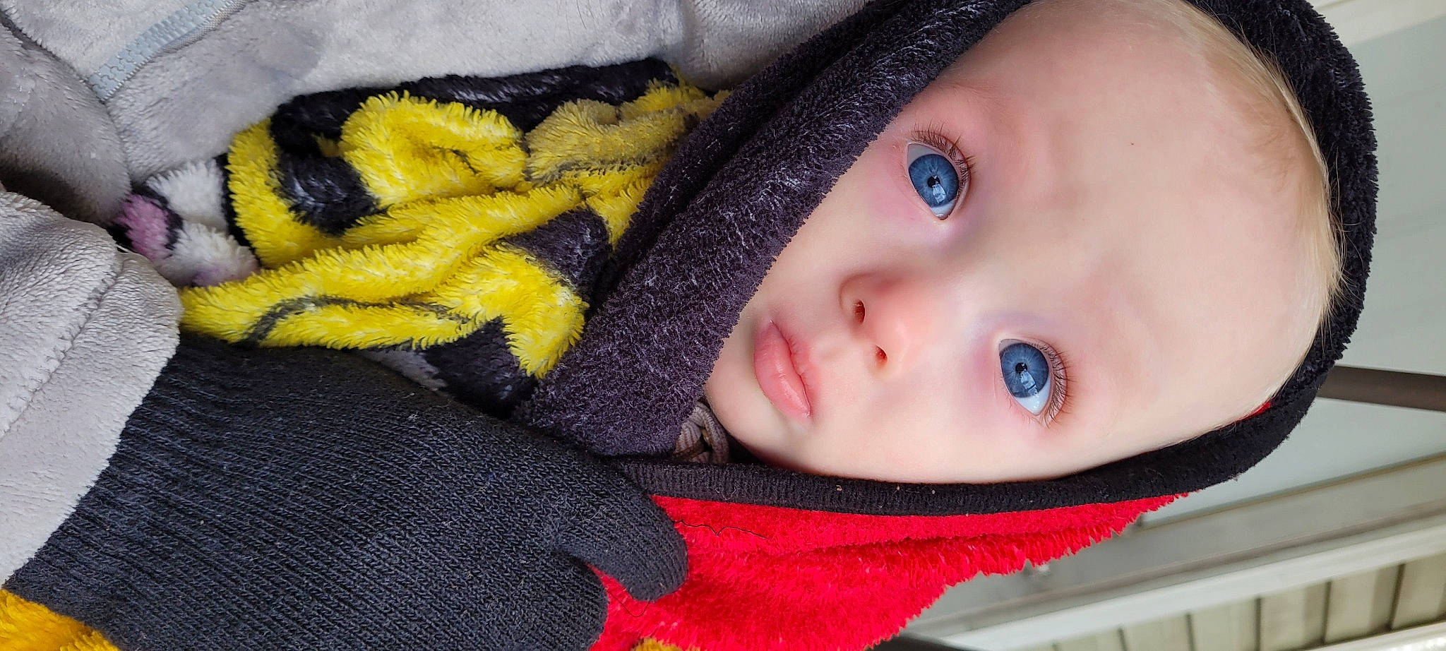 Marcus is registered to the contest to win money with this photo: baby, cap, cheek, cool, eyebrow, eyelash, headgear, human_body, iris, lip, mammal, nose, organ, outerwear, person, skin, toddler, tree, vertebrate, wool