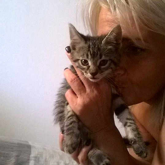 Bubu