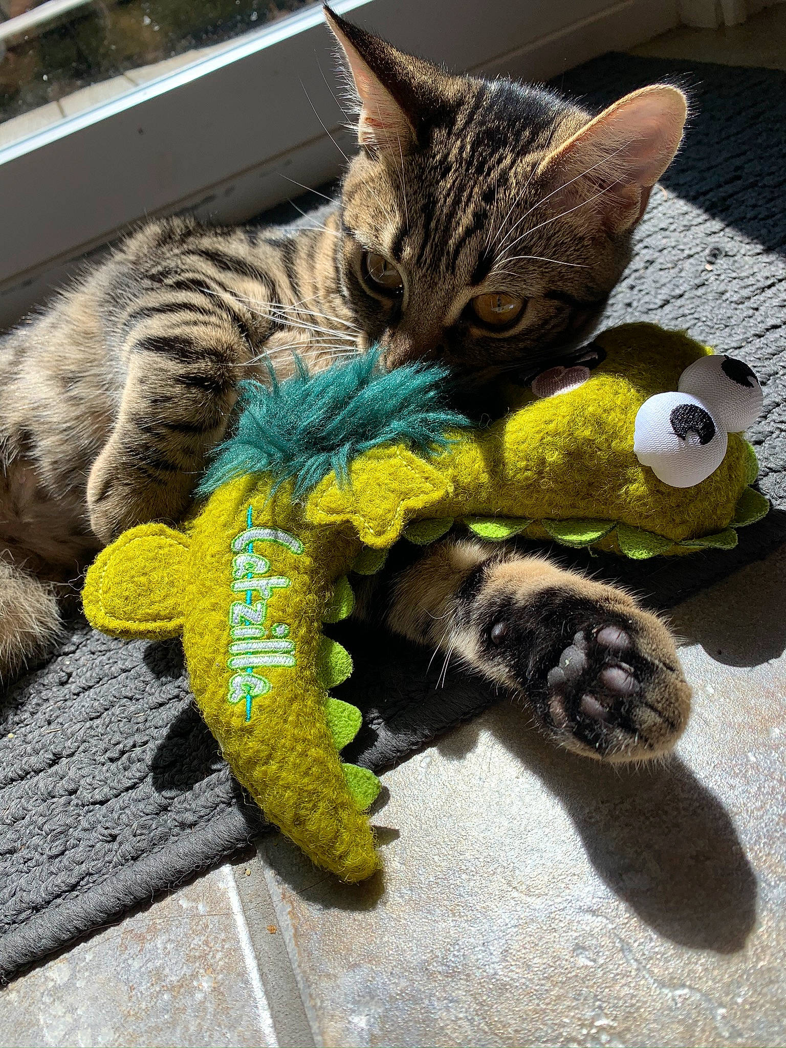 Nala joined the competition — help win amazing prizes! carnivore, cat, cat_toy, claw, craft, creative_arts, domestic_short_haired_cat, felidae, fur, knitting, plush, small_to_medium_sized_cats, stuffed_toy, tabby_cat, tail, thread, toy, whiskers, yellow