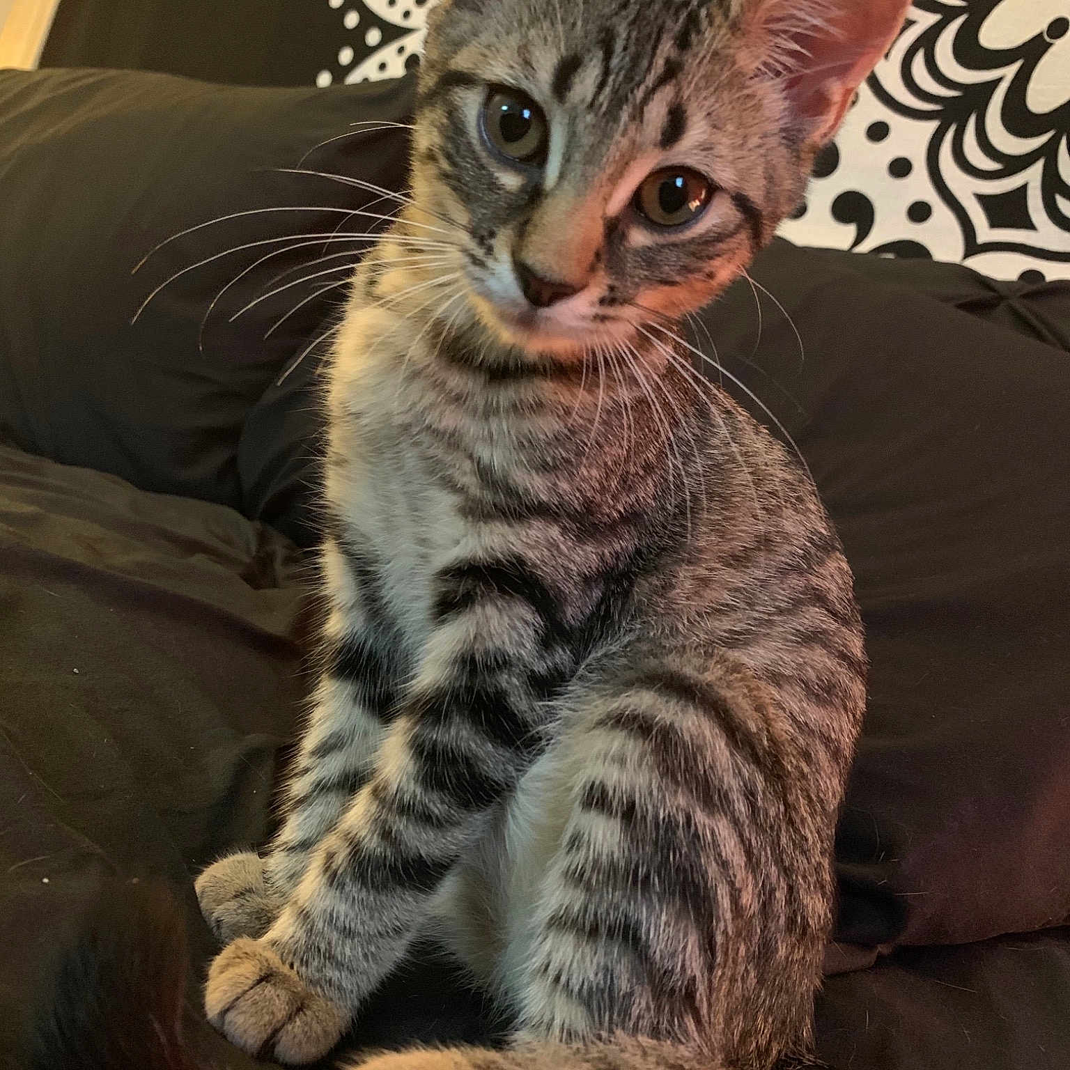 Nala