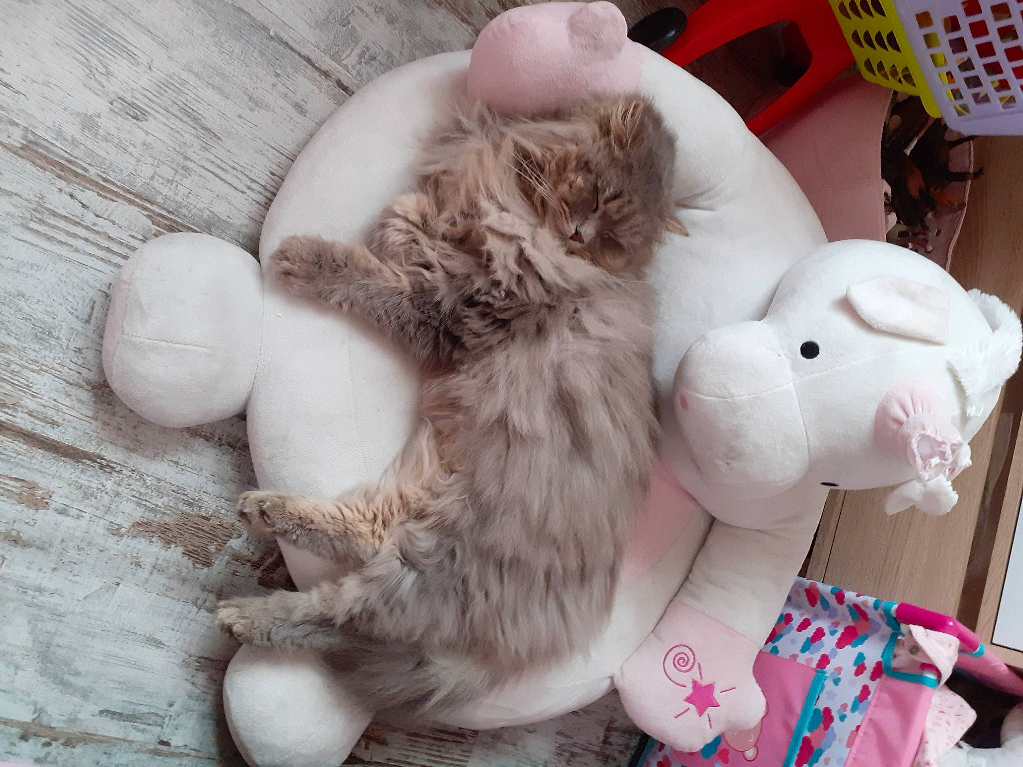 Chanel a rejoint le concours — aidez-le/la à gagner de superbes lots ! claw, comfort, companion_dog, dog_breed, ear, fawn, felidae, fur, nap, paw, plush, rabbit, small_to_medium_sized_cats, stuffed_toy, tail, toy, whiskers, white, wood