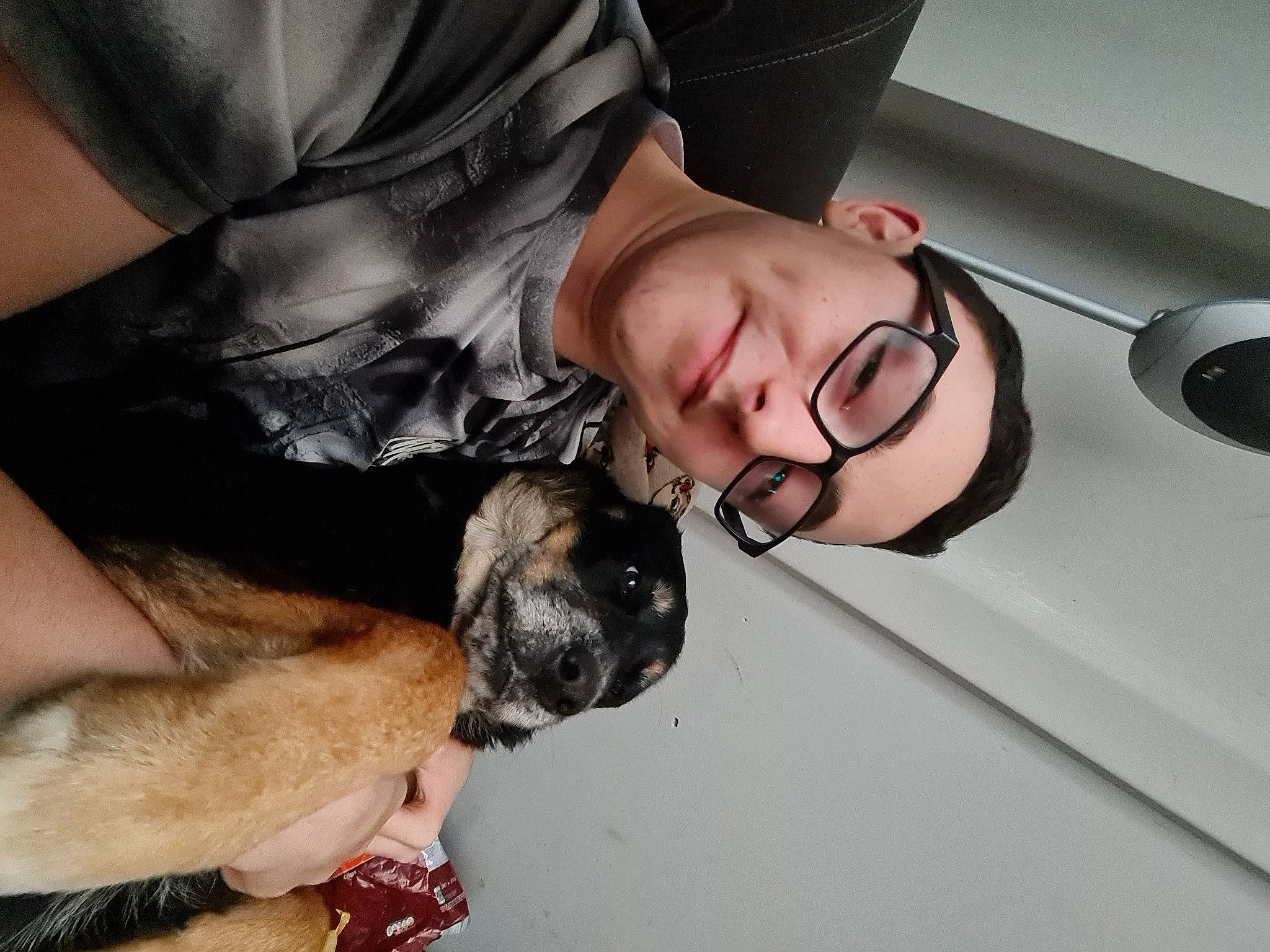 Demon is registered to the contest to win money with this photo: beard, canidae, carnivore, collar, comfort, companion_dog, dog, dog_breed, ear, eyewear, fawn, fur, gesture, glasses, guard_dog, paw, snout, sporting_group, sunglasses, vision_care