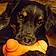 Zoey