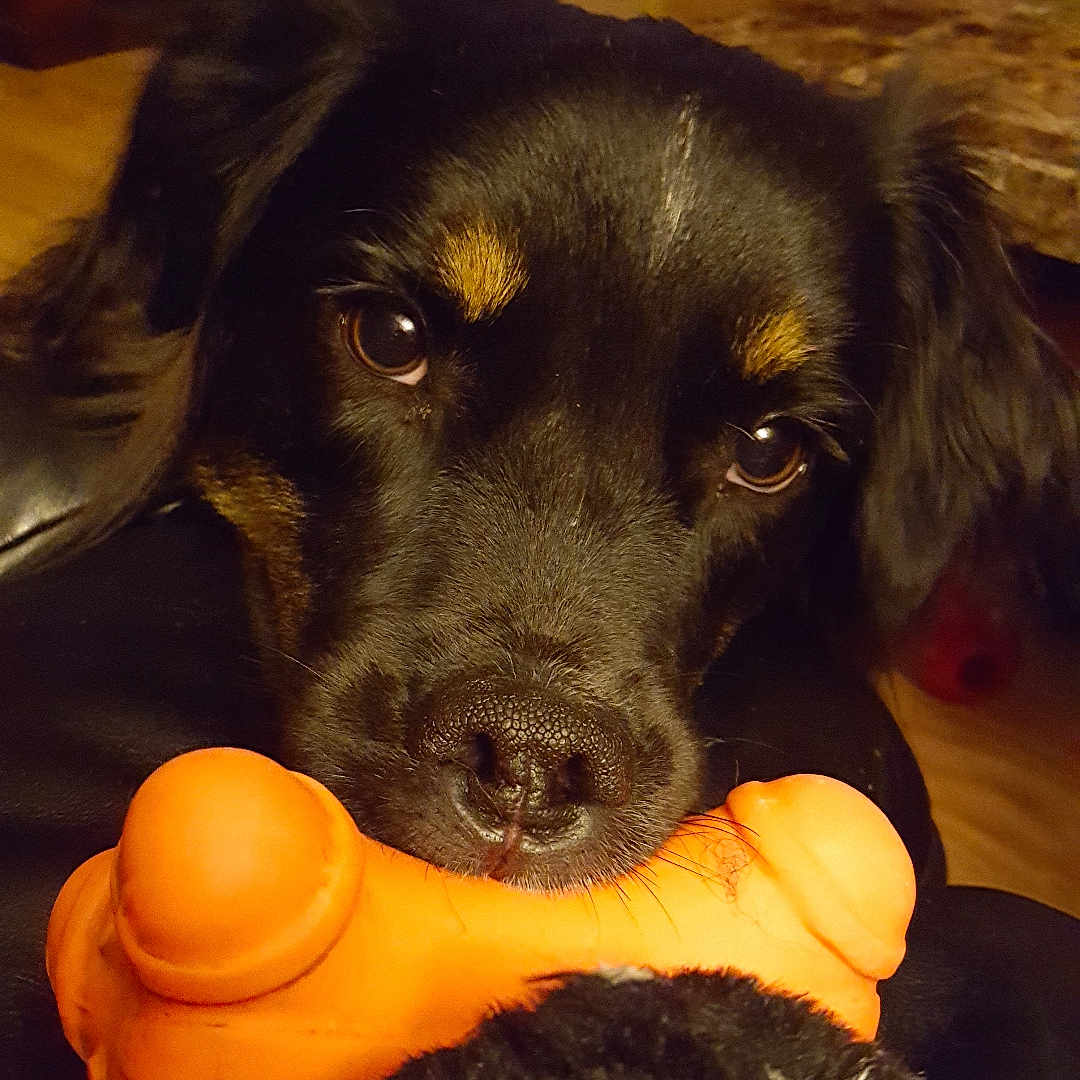 Zoey