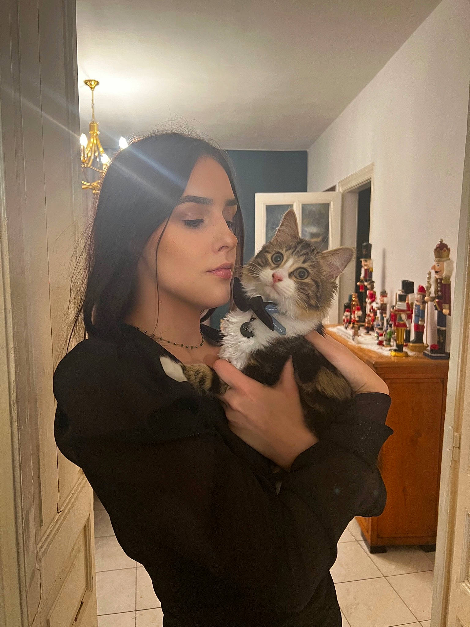 Tiziano a rejoint le concours — aidez-le/la à gagner de superbes lots ! bookcase, brown_hair, carnivore, cat, comfort, domestic_short_haired_cat, ear, fawn, felidae, flooring, formal_wear, fur, long_hair, picture_frame, room, shelf, sitting, small_to_medium_sized_cats, toy, whiskers