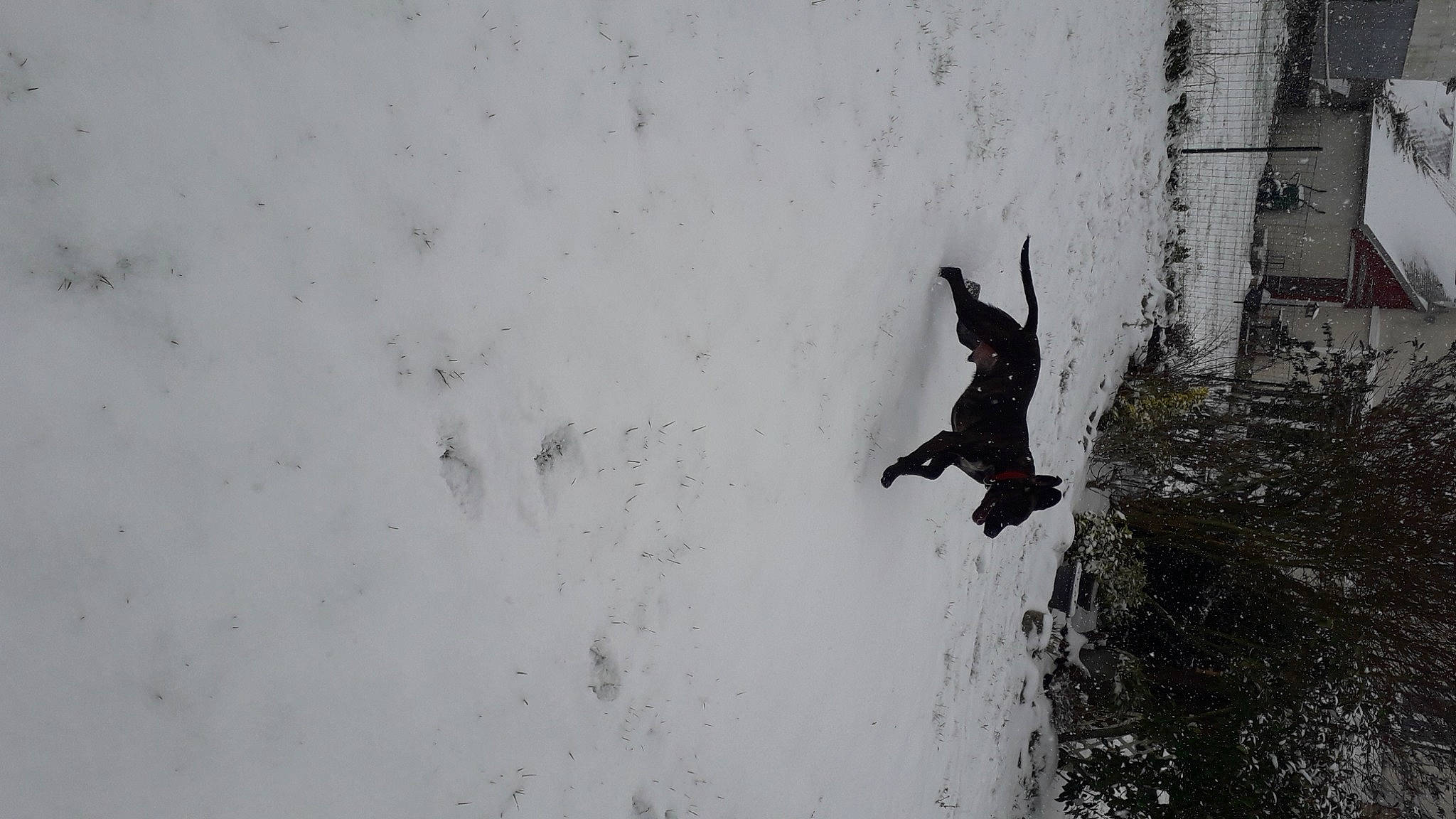 Ban participe au concours pour gagner de l'argent avec cette photo : active_pants, adventure, extreme_sport, freezing, geological_phenomenon, ice, ice_cap, outdoor_shoe, snow, winter