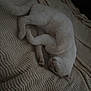 cat, white_cat, sleeping, curled_up, blanket, textured_blanket, indoor, pet, animal, cozy, relaxed, fur, whiskers, paw, resting, cute, domestic_cat, close_up, soft_lighting, quiet