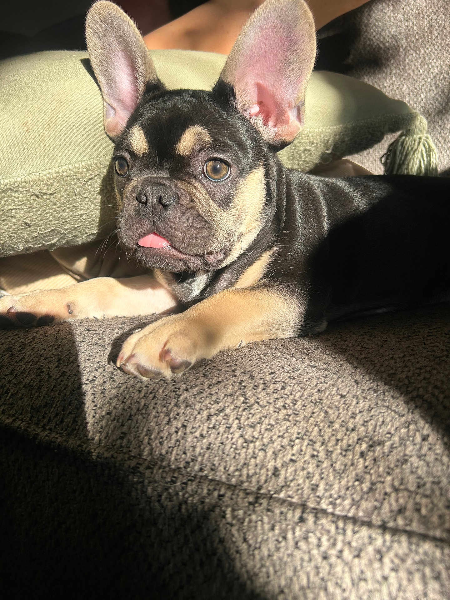 Kash