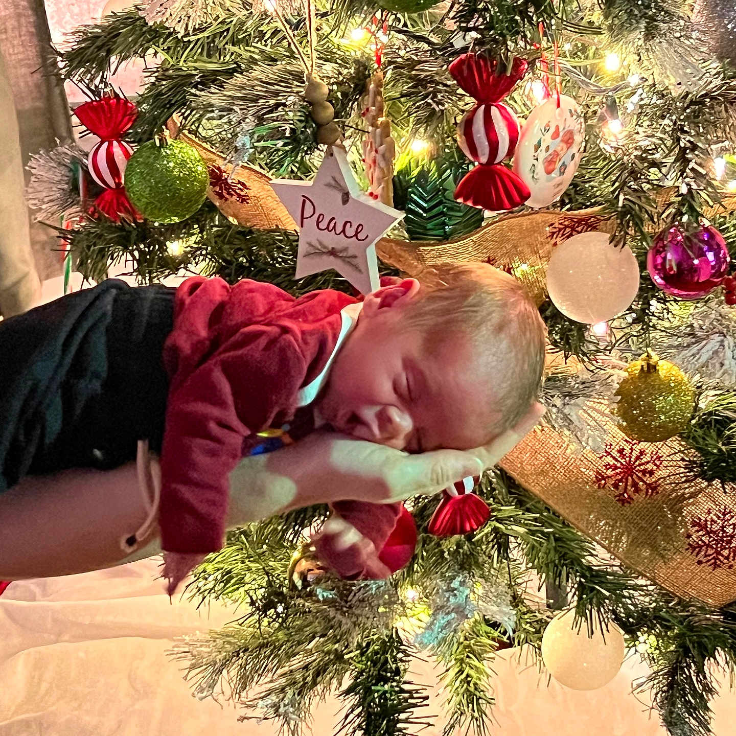 Enzo joined the competition — help win amazing prizes! baby, background, celebration, christmas_tree, cozy, decorations, festive, greenery, hand, holiday, indoor, lights, newborn, ornaments, peace_star, person, red_clothing, sleeping, soft_lighting, winter