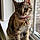 Cleo