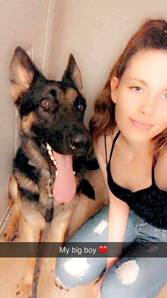 King is registered to the contest to win money with this photo: canidae, carnivore, companion_dog, dog, dog_breed, fur, happy, herding_dog, human_leg, sitting, snout, sporting_group, thigh, working_dog