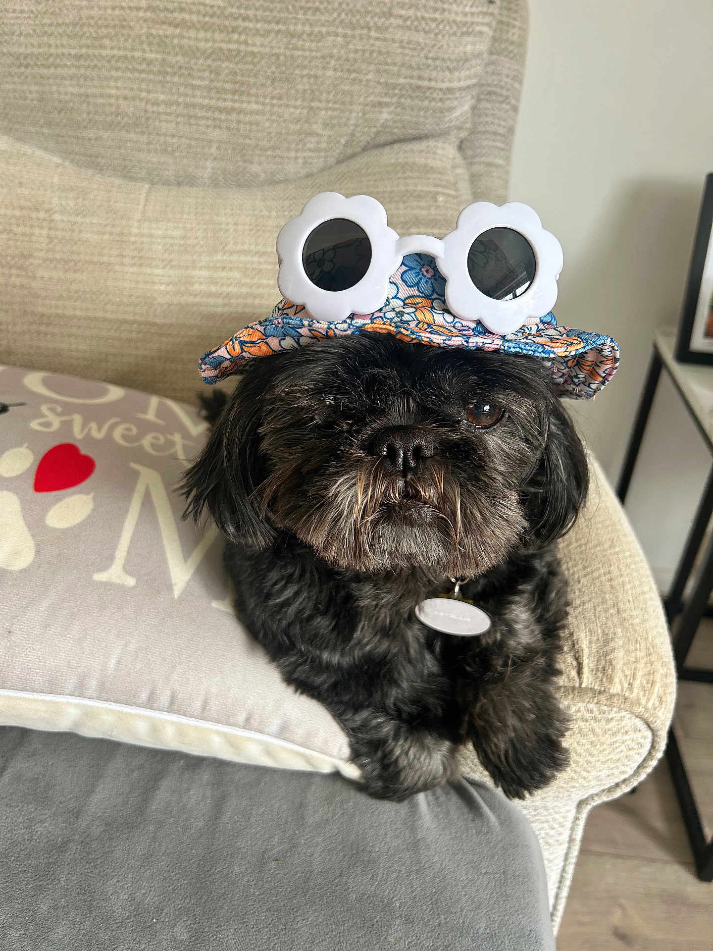 Mollie