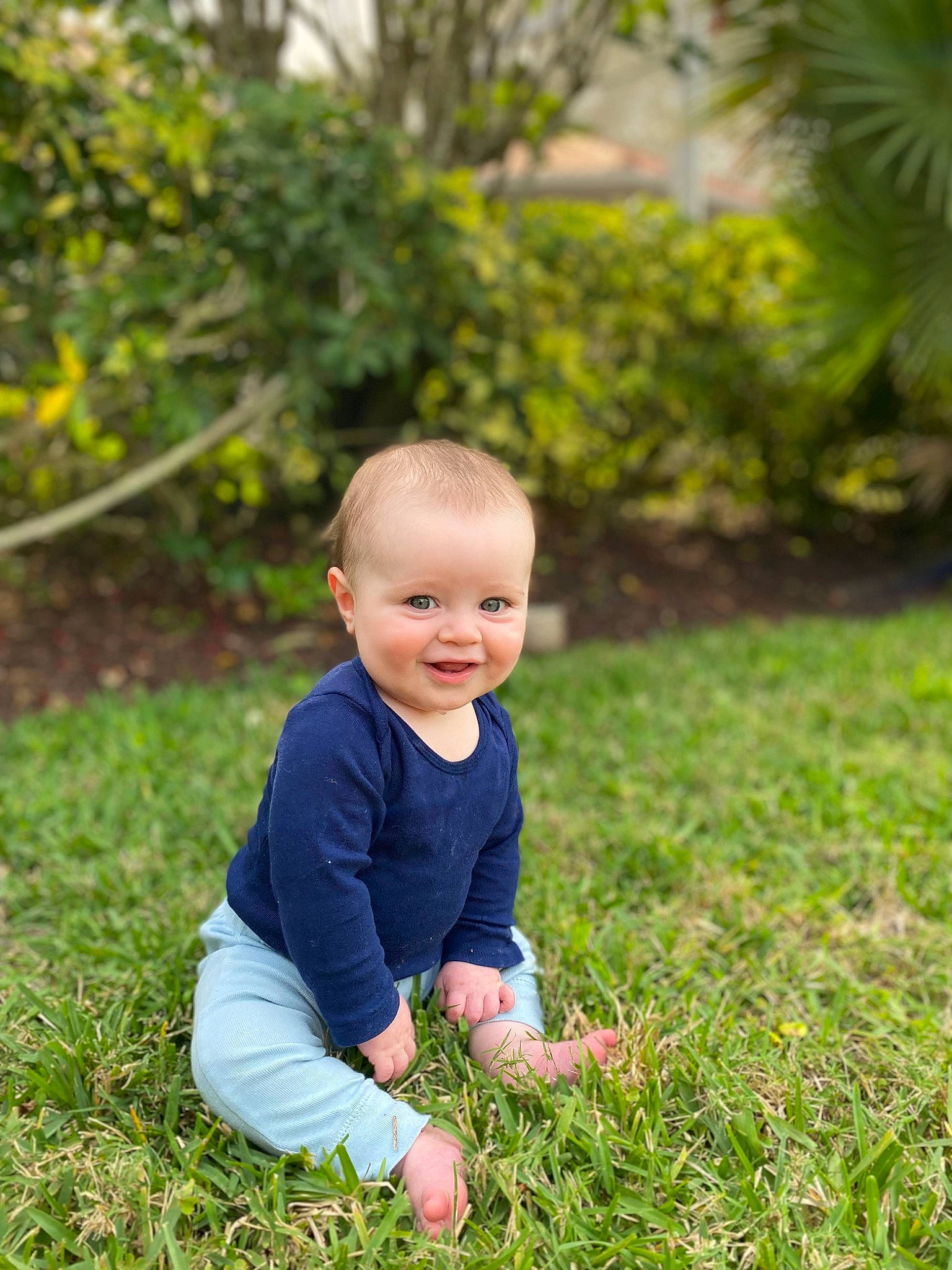 Alden is registered to the contest to win money with this photo: baby, baby_toddler_clothing, child, flash_photography, flooring, fun, garden, grass, grass_family, grassland, happy, joy, lawn, people_in_nature, person, plant, prairie, sitting, smile, toddler