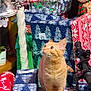 cat, orange_cat, tabby, christmas_presents, gift_wrap, holiday, festive, stuffed_toy, curious, indoor, decorations, pile, wrapped_gifts, holiday_theme, animal, pet, feline, celebration, colorful, cozy