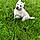 Thena