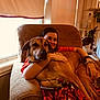 armchair, blanket, brown_dog, casual, cat_tree, cozy, curtains, dog, furniture, hugging, indoor, pet, plant, red_clothing, relaxing, second_dog, smiling, watch, window, woman