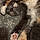 Reba Meowcattire