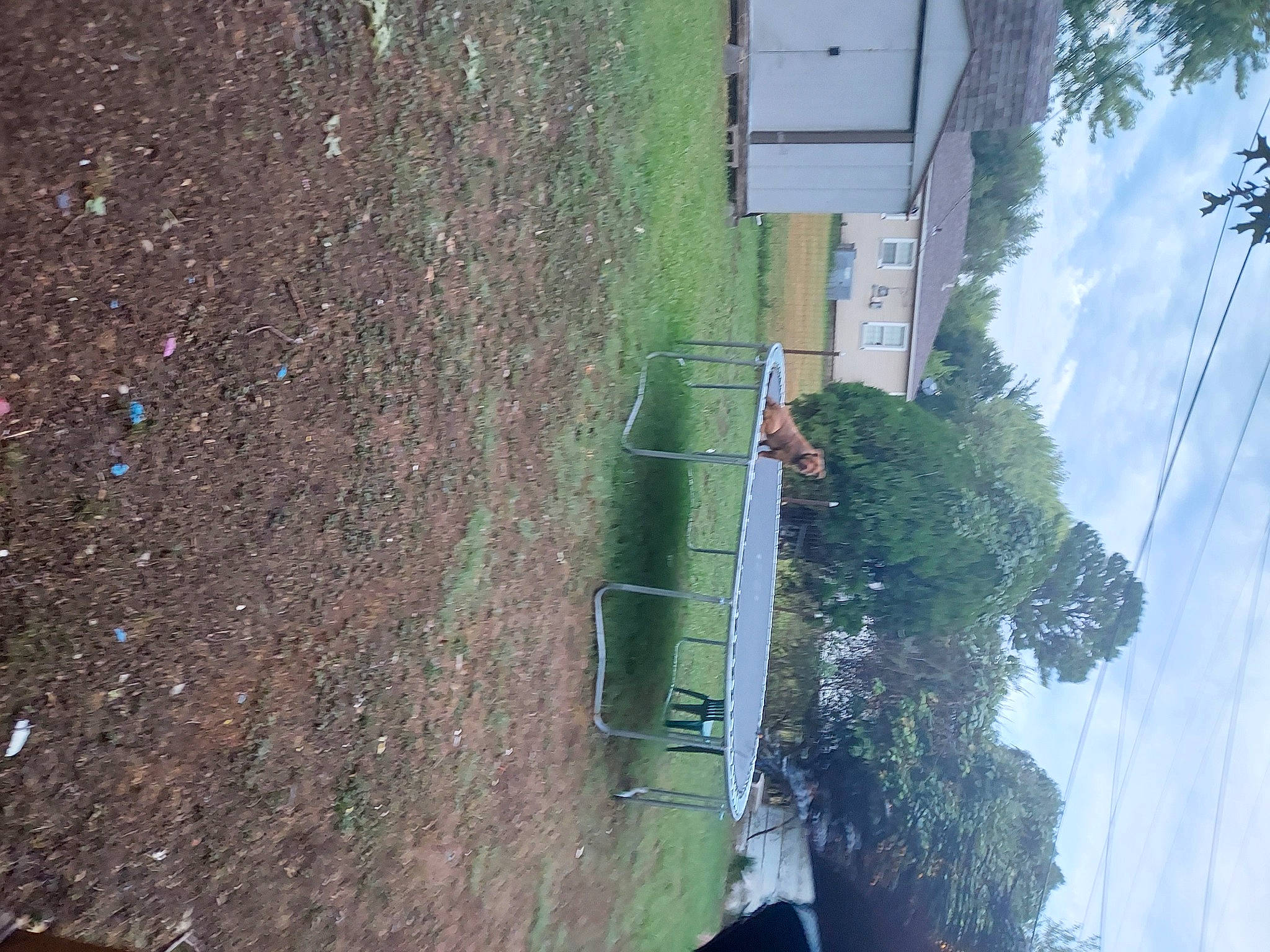 Rollie is registered to the contest to win money with this photo: biome, building, cloud, electricity, facade, geological_phenomenon, landscape, leaf, overhead_power_line, plant, pole, public_utility, road, road_surface, sky, slope, tree, trunk, urban_design, vegetation