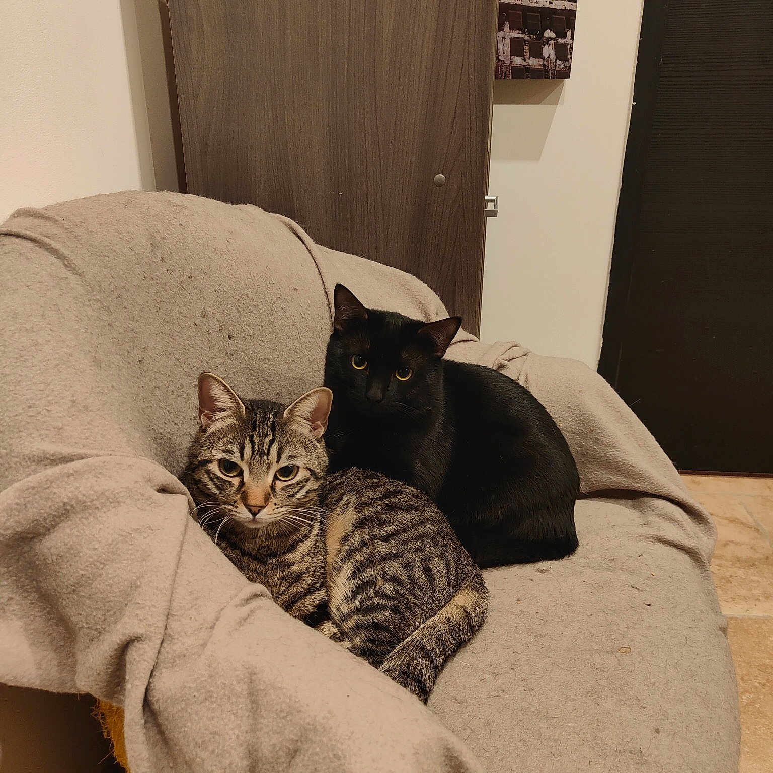 Coca Et Pepsi