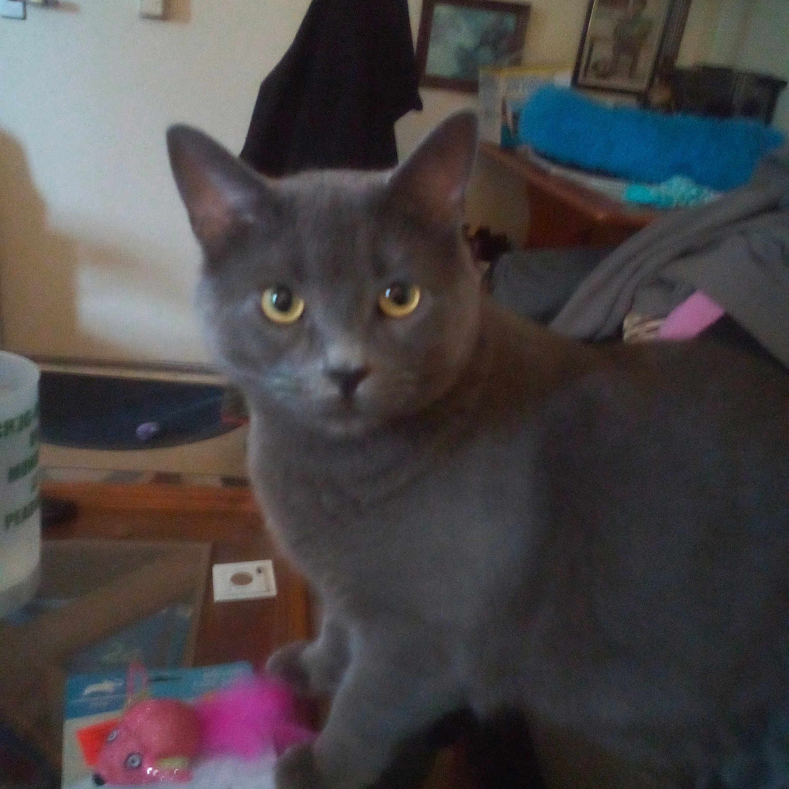 Jax
