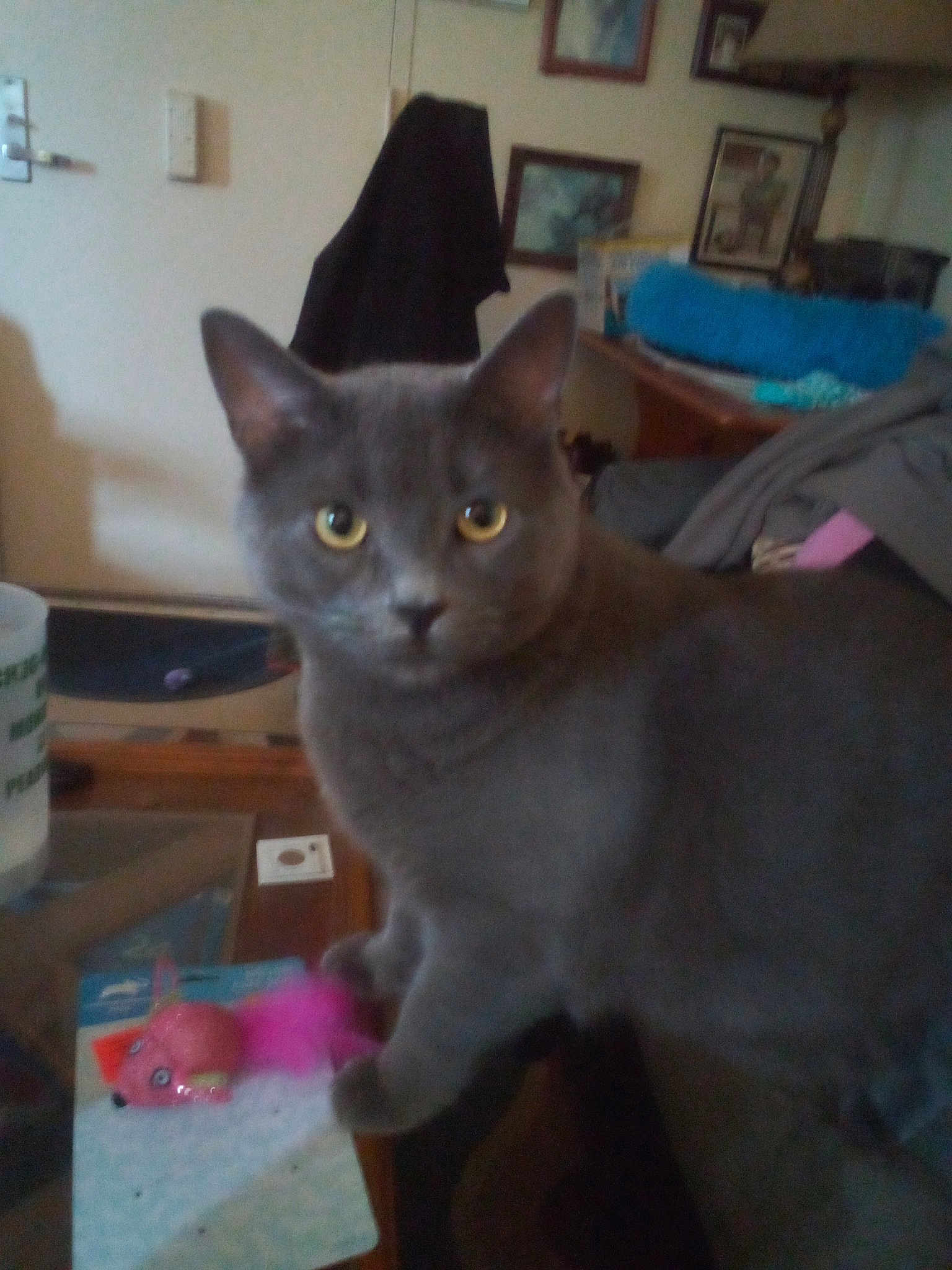 Jax