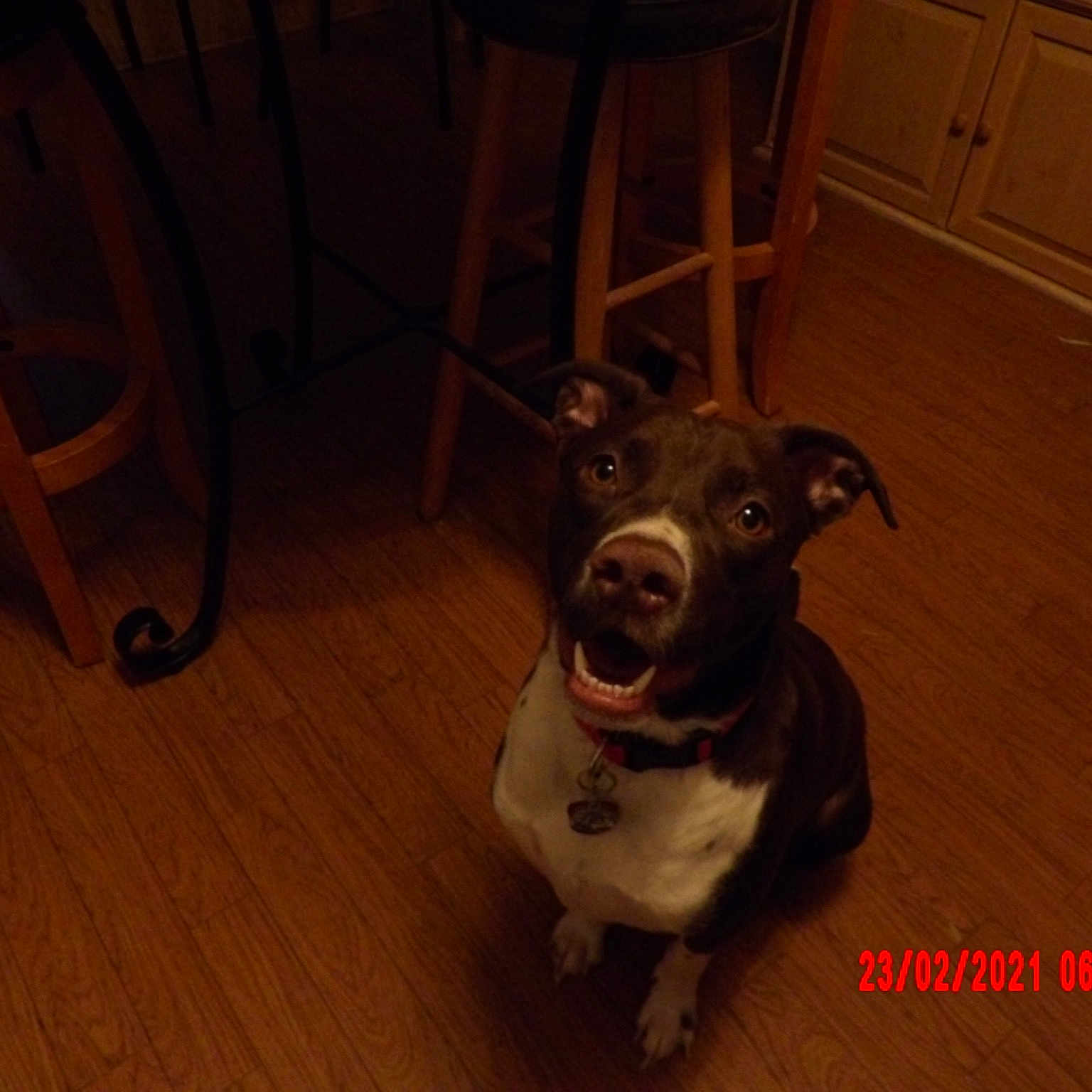 Remi