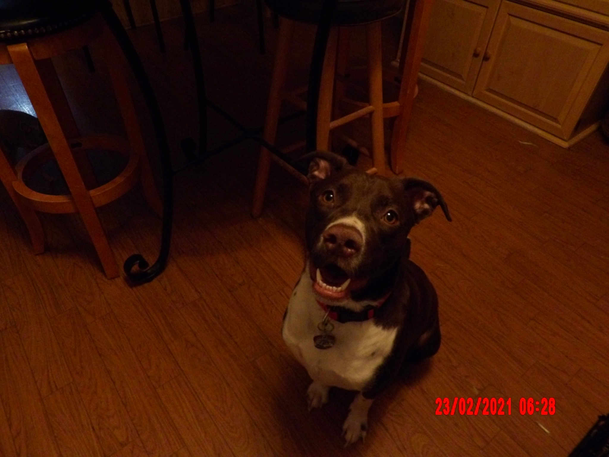 Remi