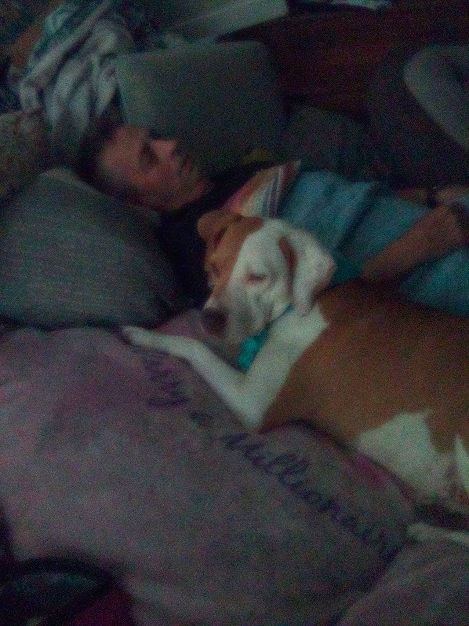 Luna joined the competition — help win amazing prizes! bedding, bedtime, blanket, canidae, carnivore, cloud, comfort, companion_dog, dog, dog_breed, fawn, felidae, flesh, fur, human_leg, linens, nap, non_sporting_group, sporting_group, thigh