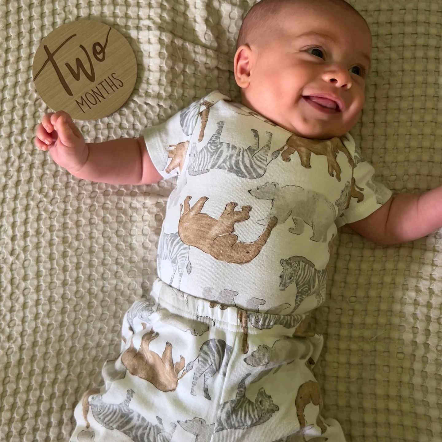 Stone joined the competition — help win amazing prizes! baby, bed, bedroom, blanket, clothing, cushion, face, furniture, happy, head, homedecor, indoors, linen, newborn, pants, person, photography, portrait, quilt, t_shirt