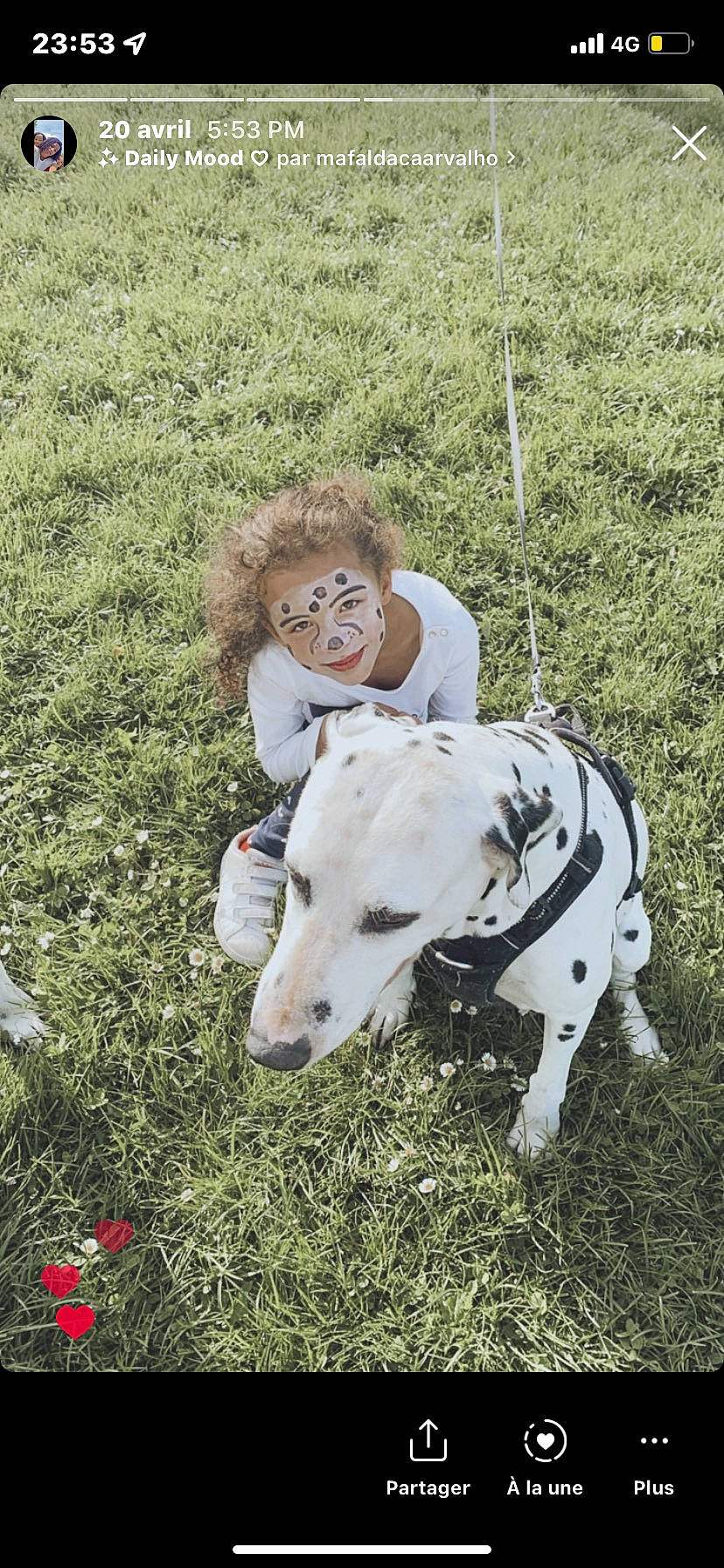 Amélia participe au concours pour gagner de l'argent avec cette photo : carnivore, collar, companion_dog, dalmatian, dog, dog_breed, fawn, grass, grass_family, grassland, groundcover, meadow, pasture, people_in_nature, person, plant, smile, snout, sporting_group, terrestrial_animal
