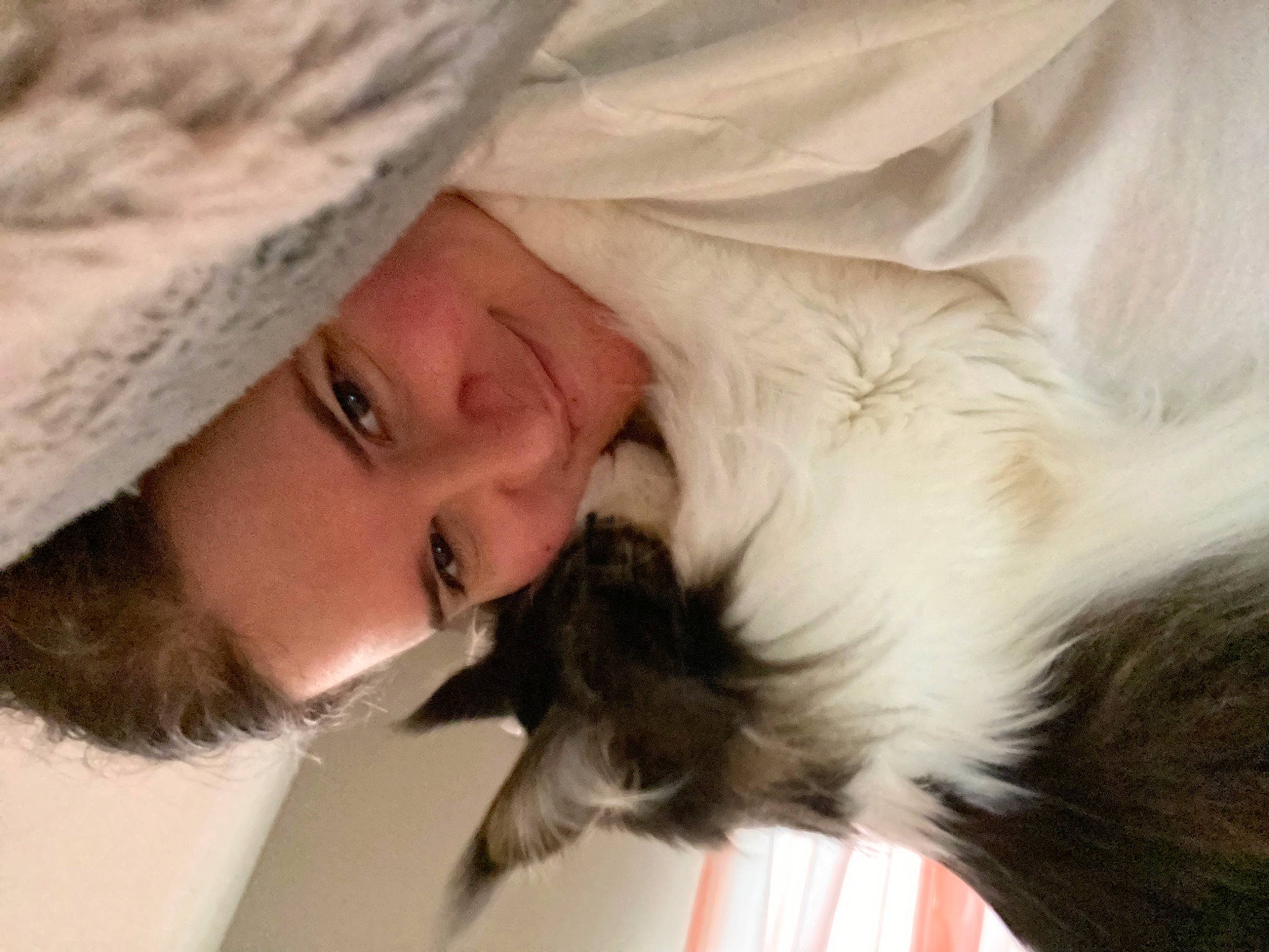 Hanzo joined the competition — help win amazing prizes! beard, carnivore, child, close_up, comfort, companion_dog, dog_breed, ear, eyebrow, eyelash, felidae, fur, gesture, happy, linens, mammal, nose, skin, small_to_medium_sized_cats, whiskers