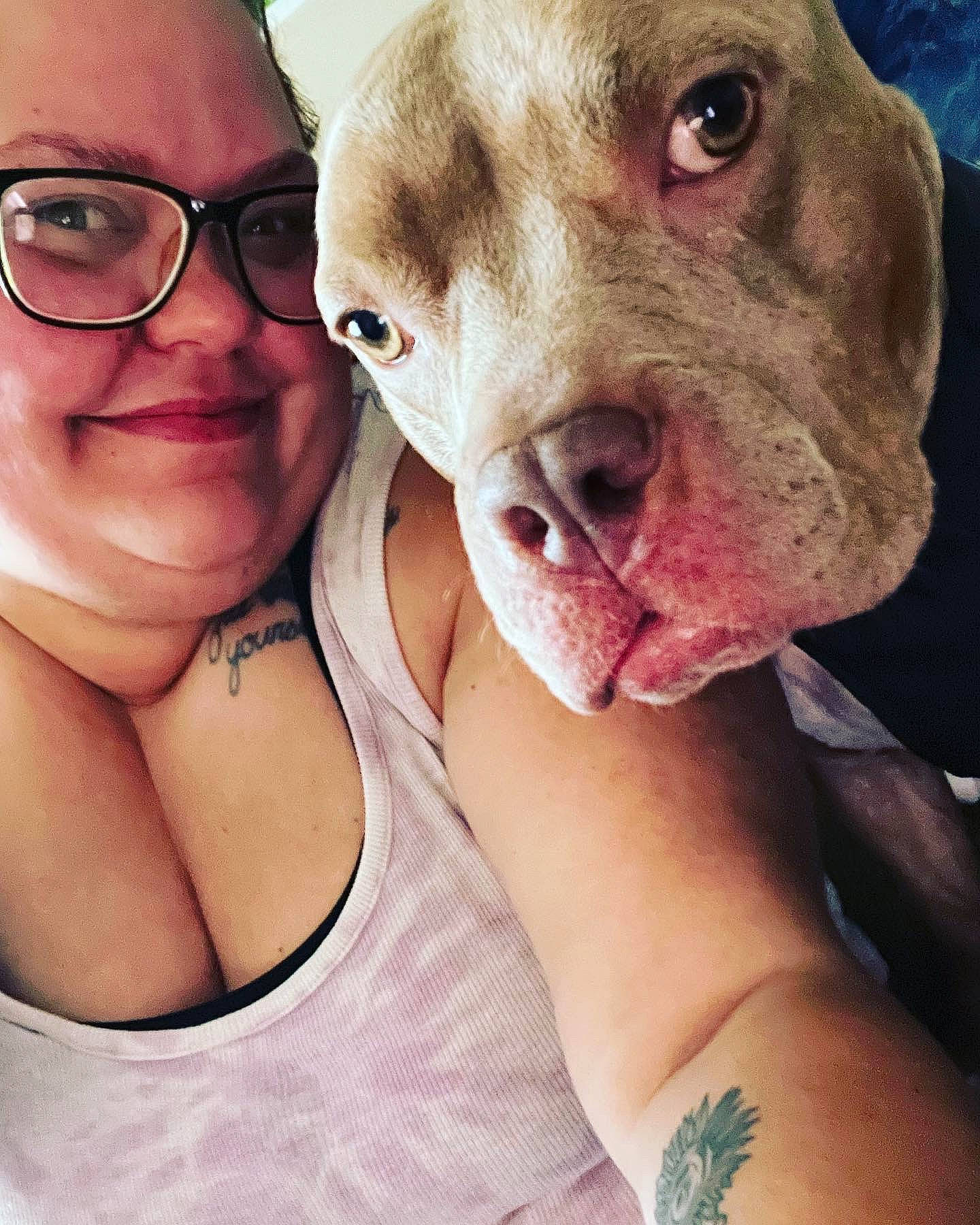 Bristol joined the competition — help win amazing prizes! carnivore, chest, companion_dog, dog, dog_breed, eyewear, fawn, glasses, green, happy, jaw, liver, neck, nose, organ, selfie, skin, smile, vision_care, working_animal