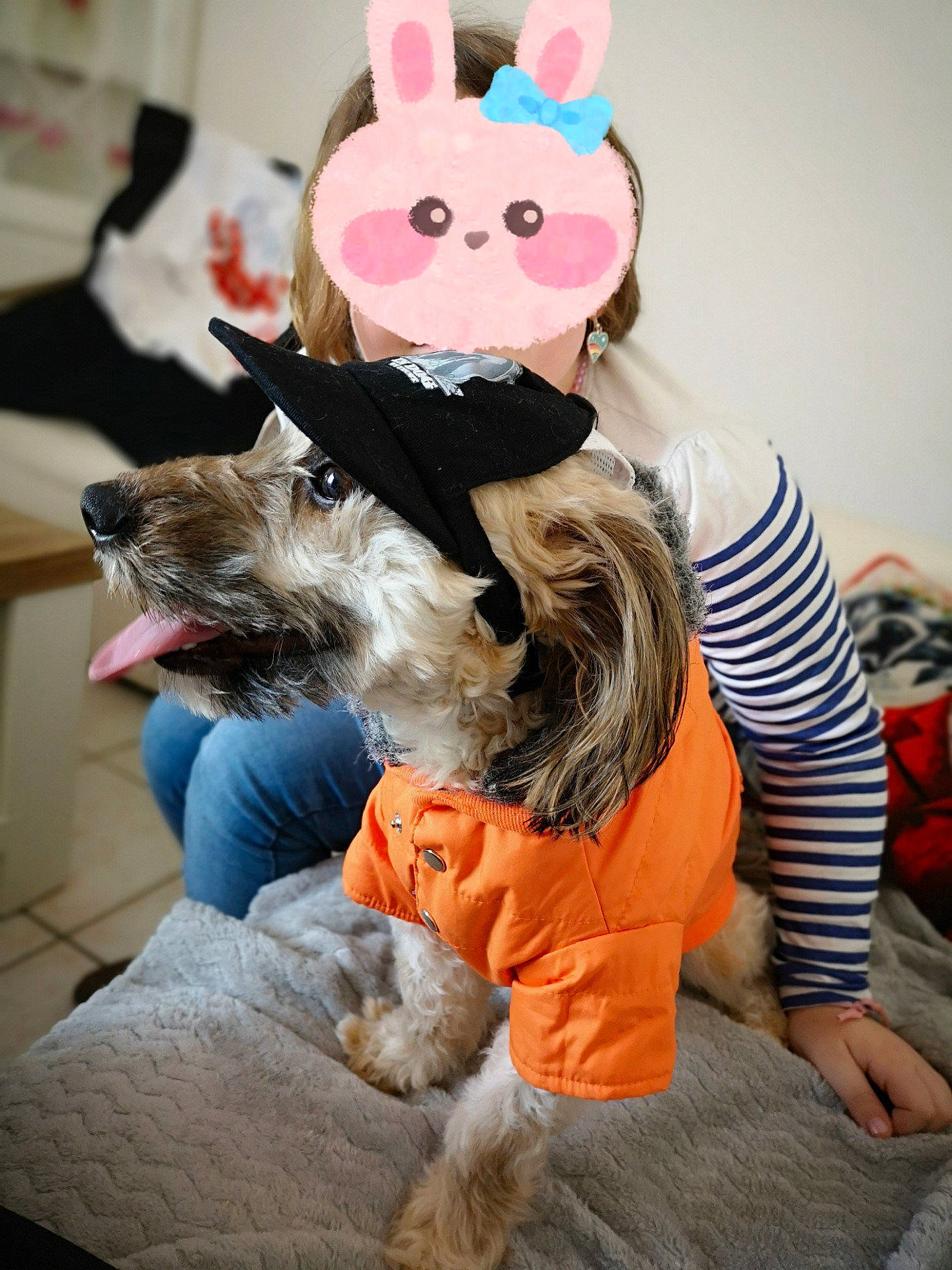 Nano a rejoint le concours — aidez-le/la à gagner de superbes lots ! companion_dog, costume, dog_breed, dog_clothes, dog_supply, ear, fawn, fur, happy, hat, headgear, mammal, party_hat, party_supply, plush, small_terrier, snout, stuffed_toy, toy, toy_dog