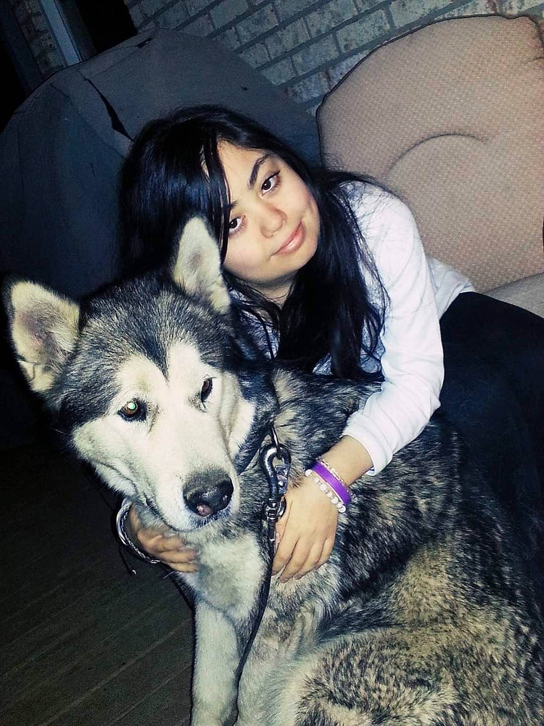 Darcy joined the competition — help win amazing prizes! alaskan_malamute, beauty, canidae, carnivore, dog, dog_breed, eye, friendship, fur, human, mammal, native_american_indian_dog, northern_inuit_dog, nose, seppala_siberian_sleddog, siberian_husky, skin, sled_dog, snout, wolfdog