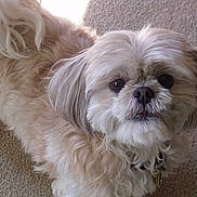 Daisy is registered to the contest to win money with this photo: