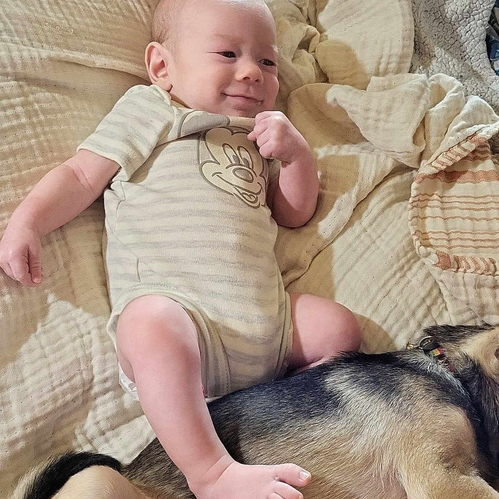 Landon is registered to the contest to win money with this photo: animal, baby, bed, bedroom, canine, couch, cushion, dog, face, furniture, head, homedecor, indoors, newborn, person, pet, photography, portrait, quilt, sleeping