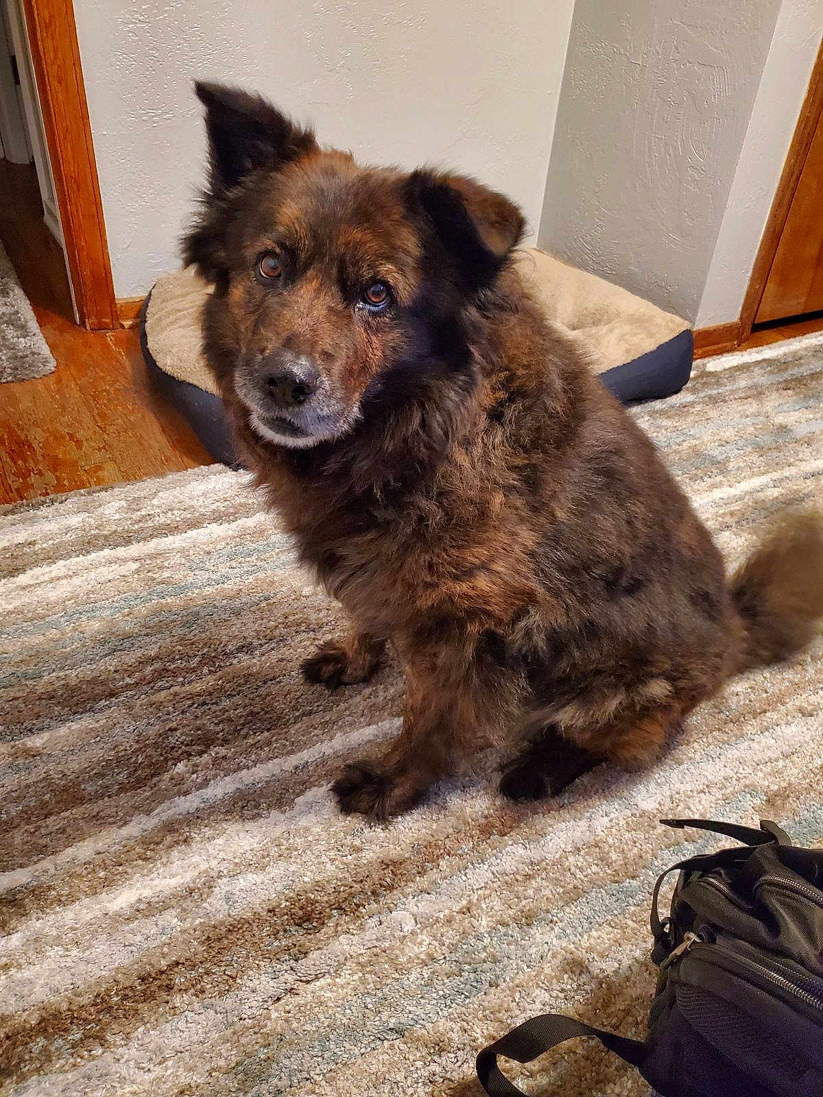 Bella