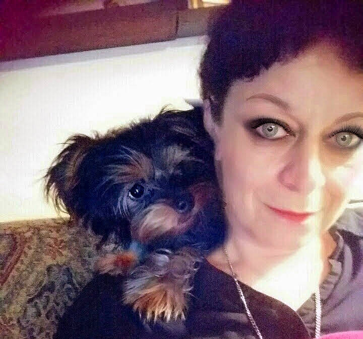 Anakin joined the competition — help win amazing prizes! bolonka, canidae, carnivore, companion_dog, dog, dog_breed, eye, hair, human, maltepoo, mammal, morkie, nose, person, puppy, puppy_love, schnoodle, selfie, skin, yorkipoo
