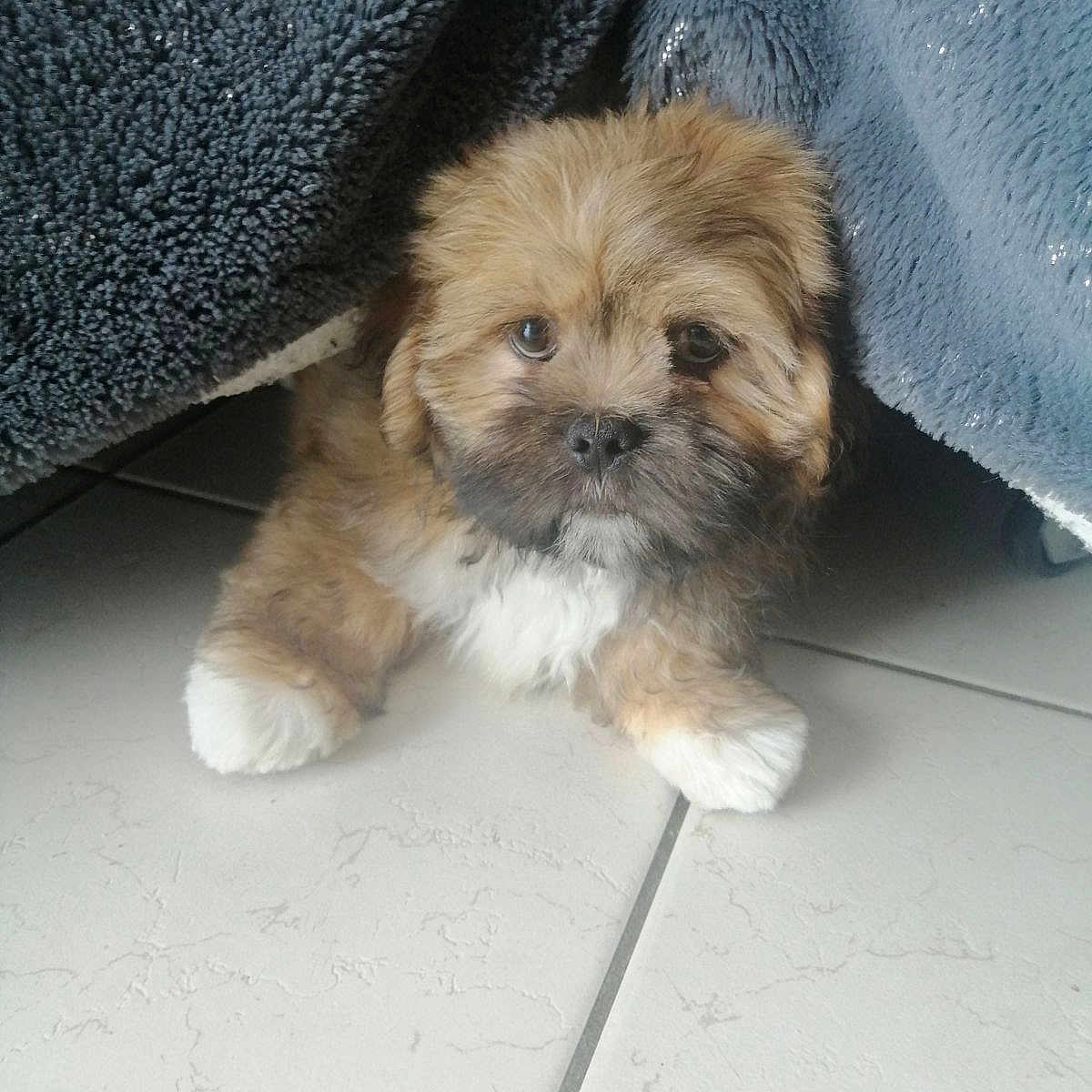 Diégo
