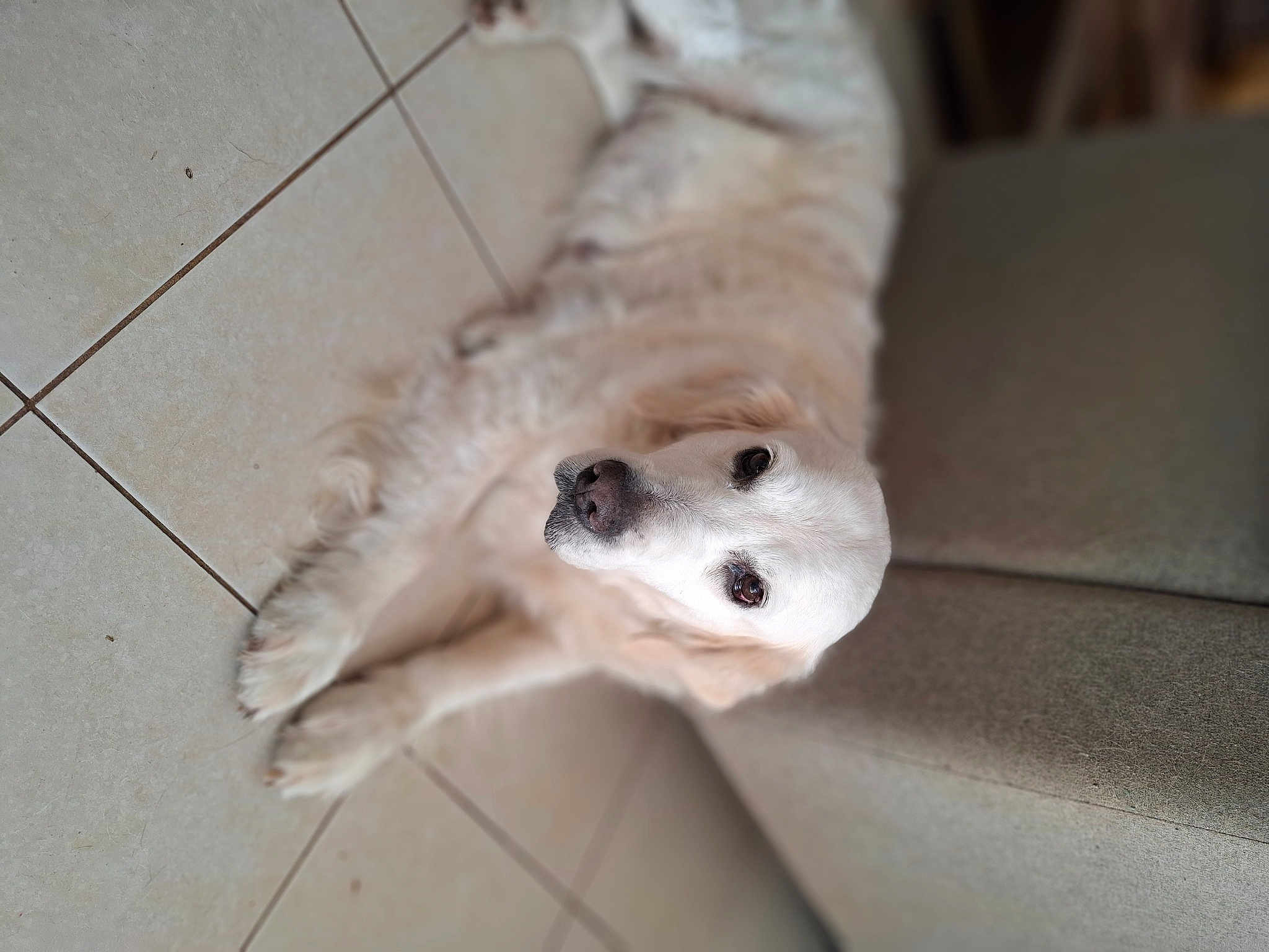 Jenny