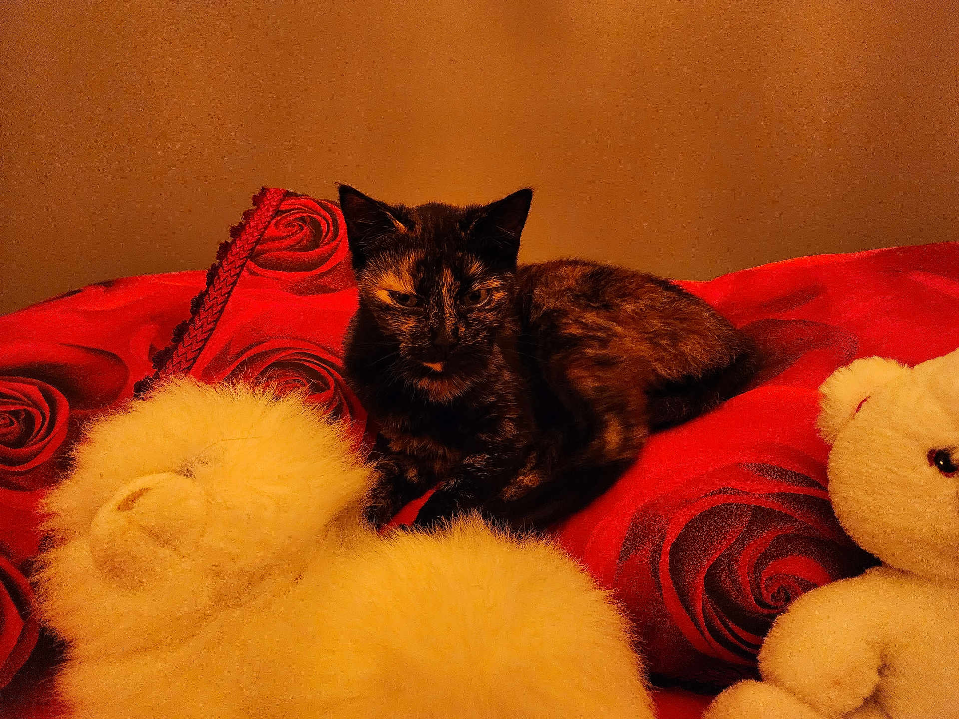 Myrtille