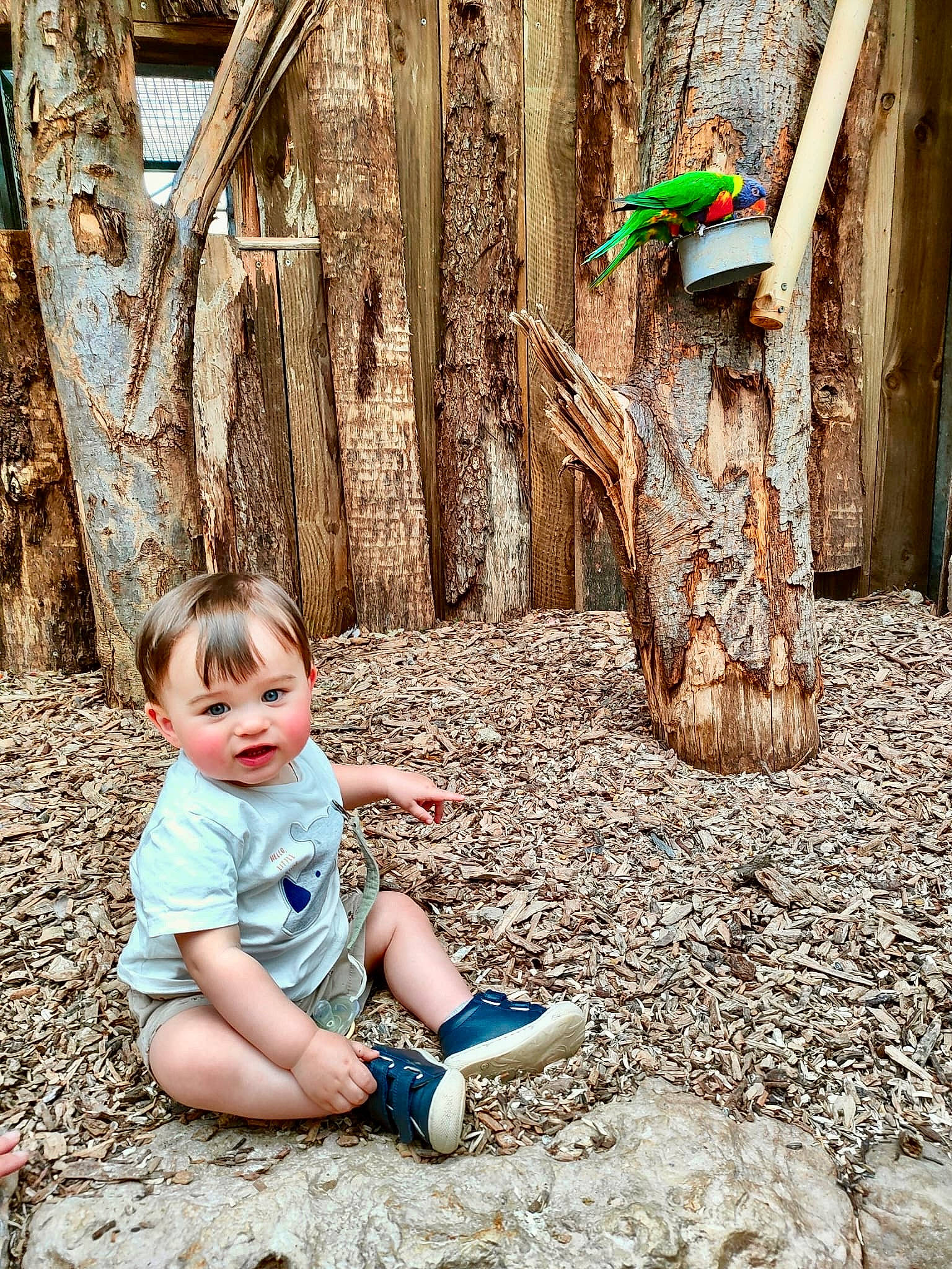 Arthur participe au concours pour gagner de l'argent avec cette photo : baby, baby_toddler_clothing, child, forest, fun, grass, green, happy, leisure, people_in_nature, person, plant, rock, sitting, soil, toddler, tree, trunk, vertebrate, wood
