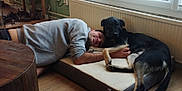 Eylau participe au concours pour gagner de l'argent avec cette photo : affection, black_dog, casual_clothing, cozy, dog, dog_bed, floor, friendship, grey_hoodie, indoor, man, natural_light, pet, radiator, relaxing, resting, smile, tan_paws, window, wooden_floor