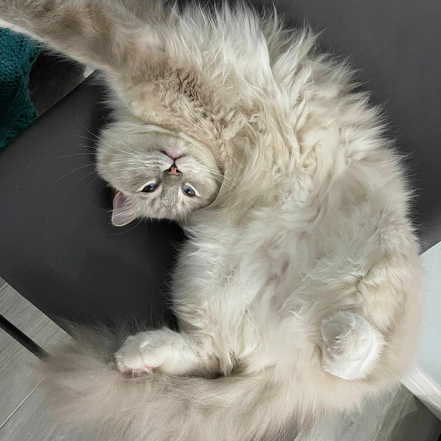 Cooper