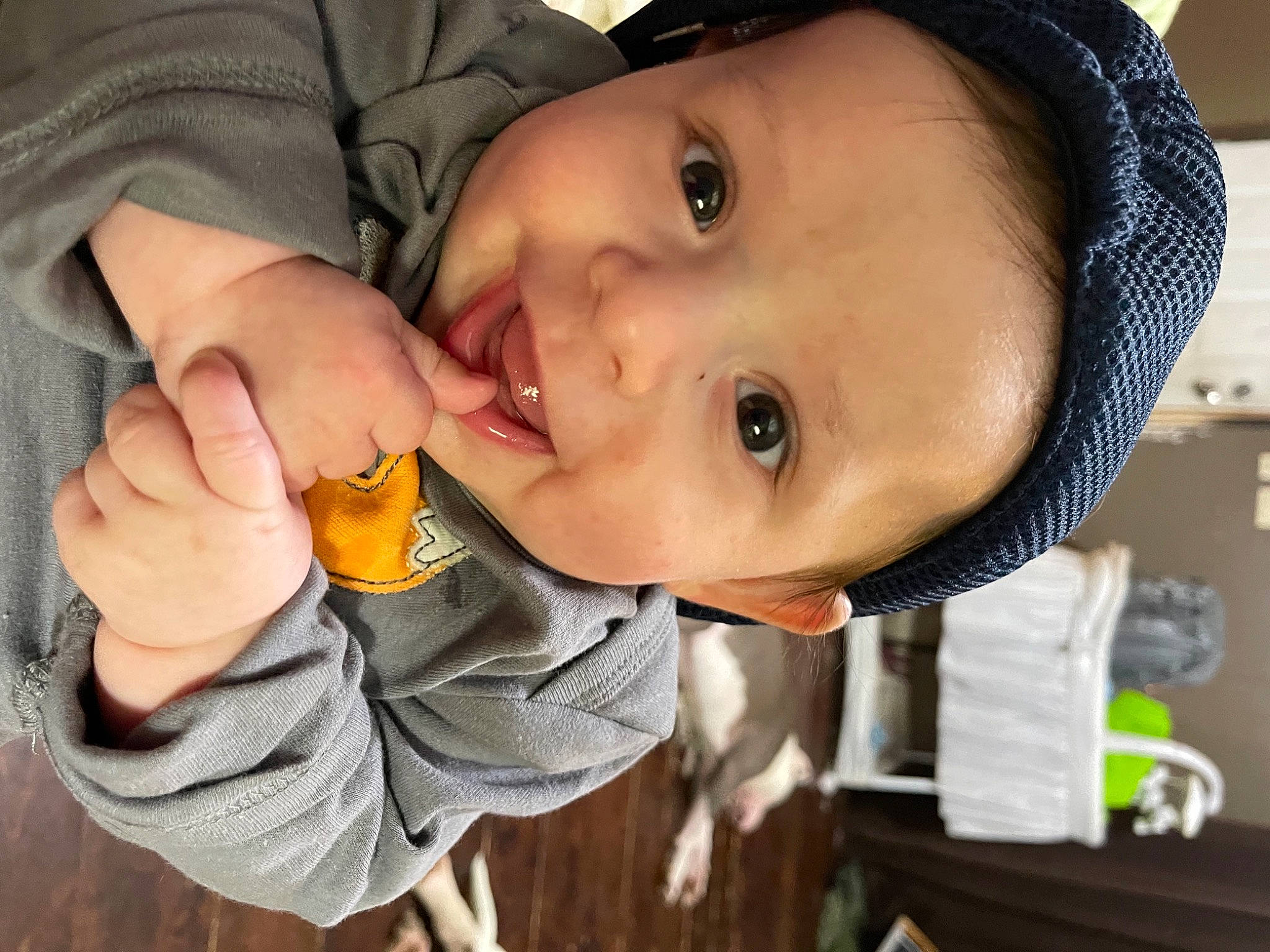 Lucca is registered to the contest to win money with this photo: baby, baby_toddler_clothing, cheek, child, clothing, eye, eyebrow, eyelash, finger, gesture, happy, hat, iris, lip, mouth, nose, person, skin, smile, thumb