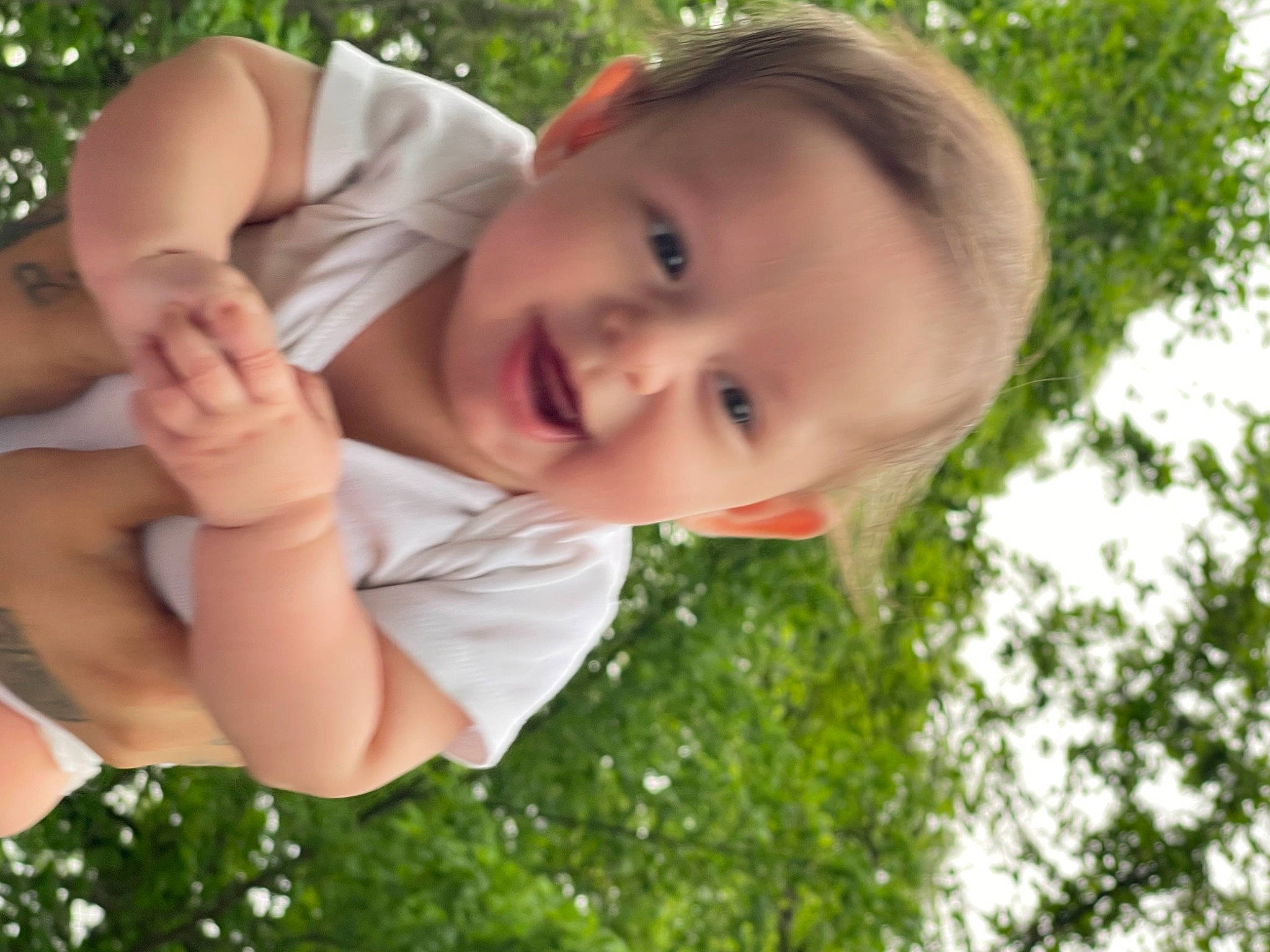 Lucca joined the competition — help win amazing prizes! arm, baby_toddler_clothing, elbow, finger, gesture, grass, grass_family, hand, happy, human_body, leisure, lip, nose, people_in_nature, person, plant, smile, thumb, toddler, tree