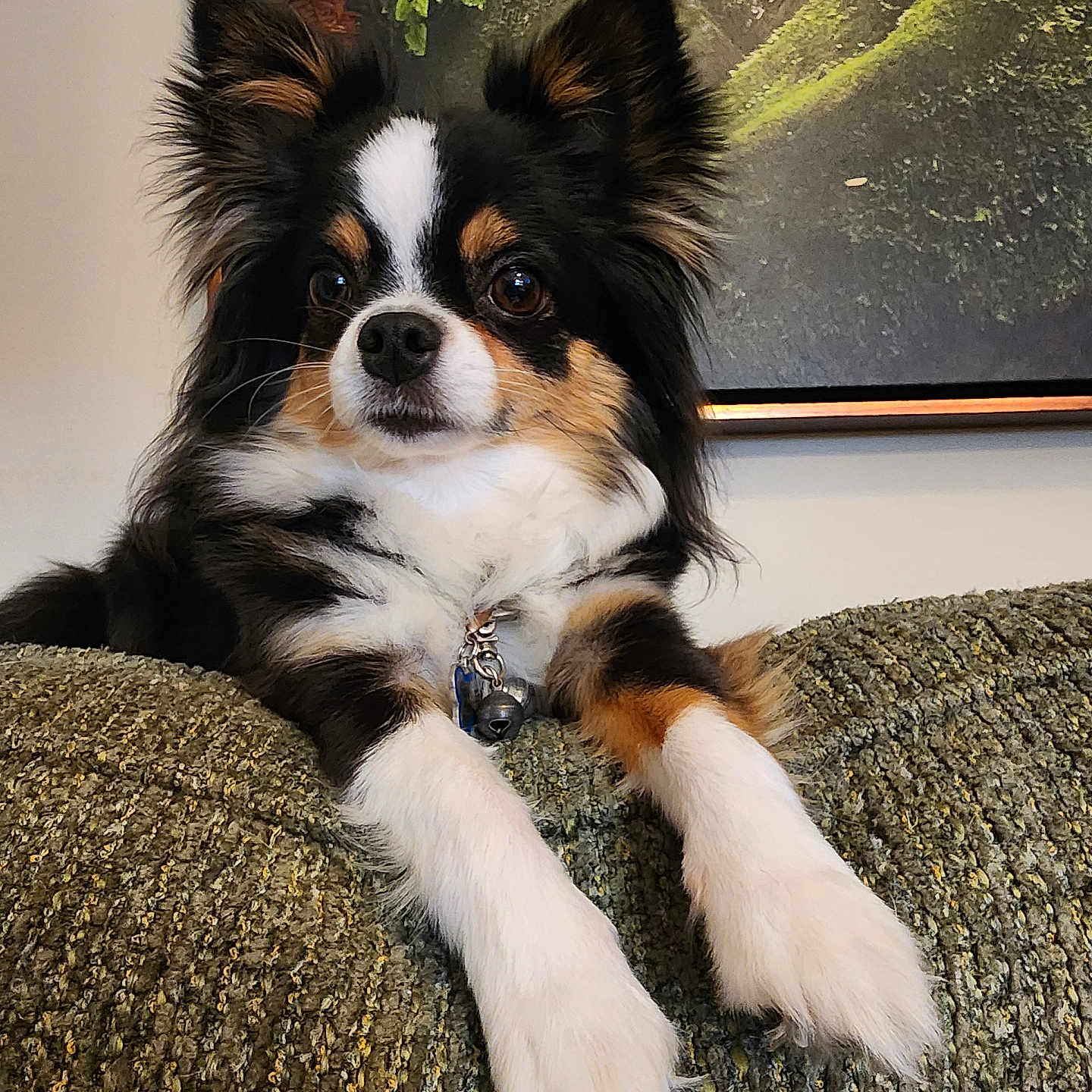 Bailey Rae