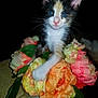 kitten, cat, flowers, bouquet, artificial_flowers, pet, animal, cute, whiskers, fur, curious, indoor, closeup, colorful, green_leaves, pink, orange, yellow, white, table