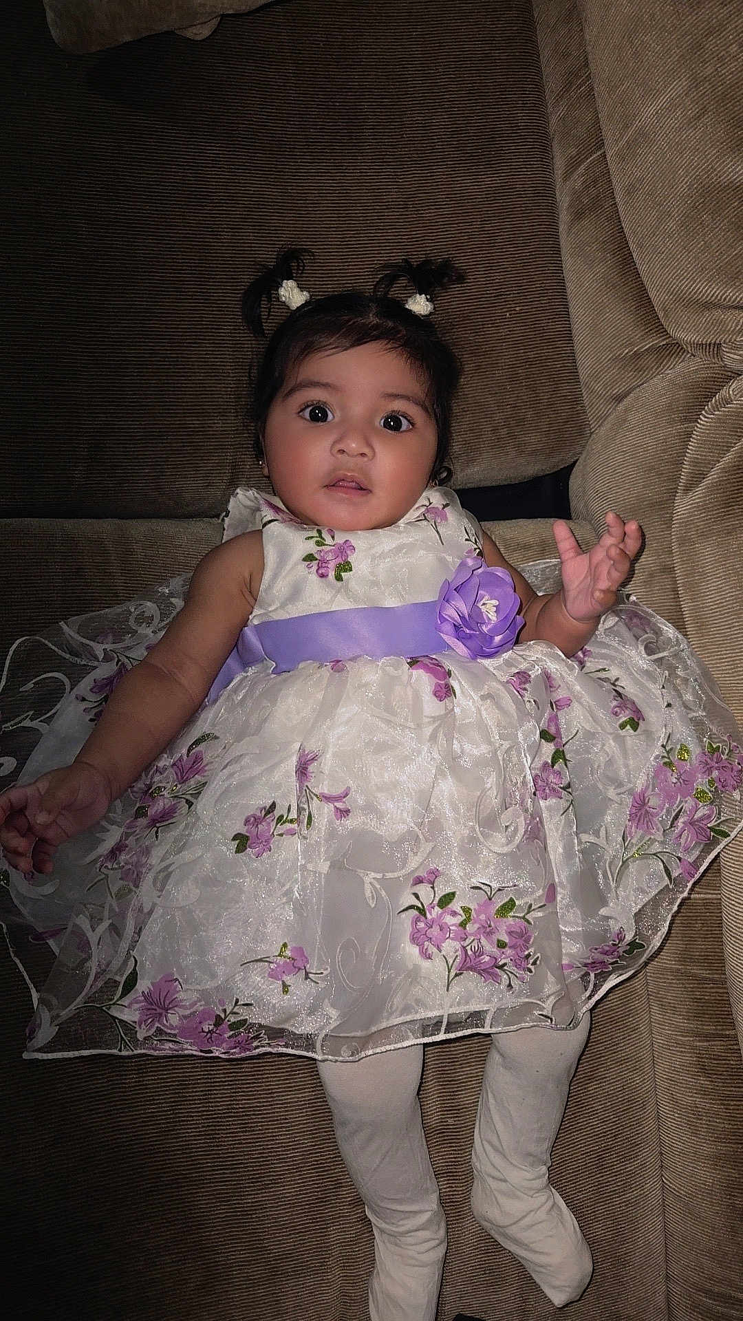 Valery Escobar joined the competition — help win amazing prizes! baby, child, girl, dress, pigtails, purple_flower, couch, white_tights, cute, portrait, indoors, smiling, person, infant, fashion, seated, young_child, happy, plush, clothing