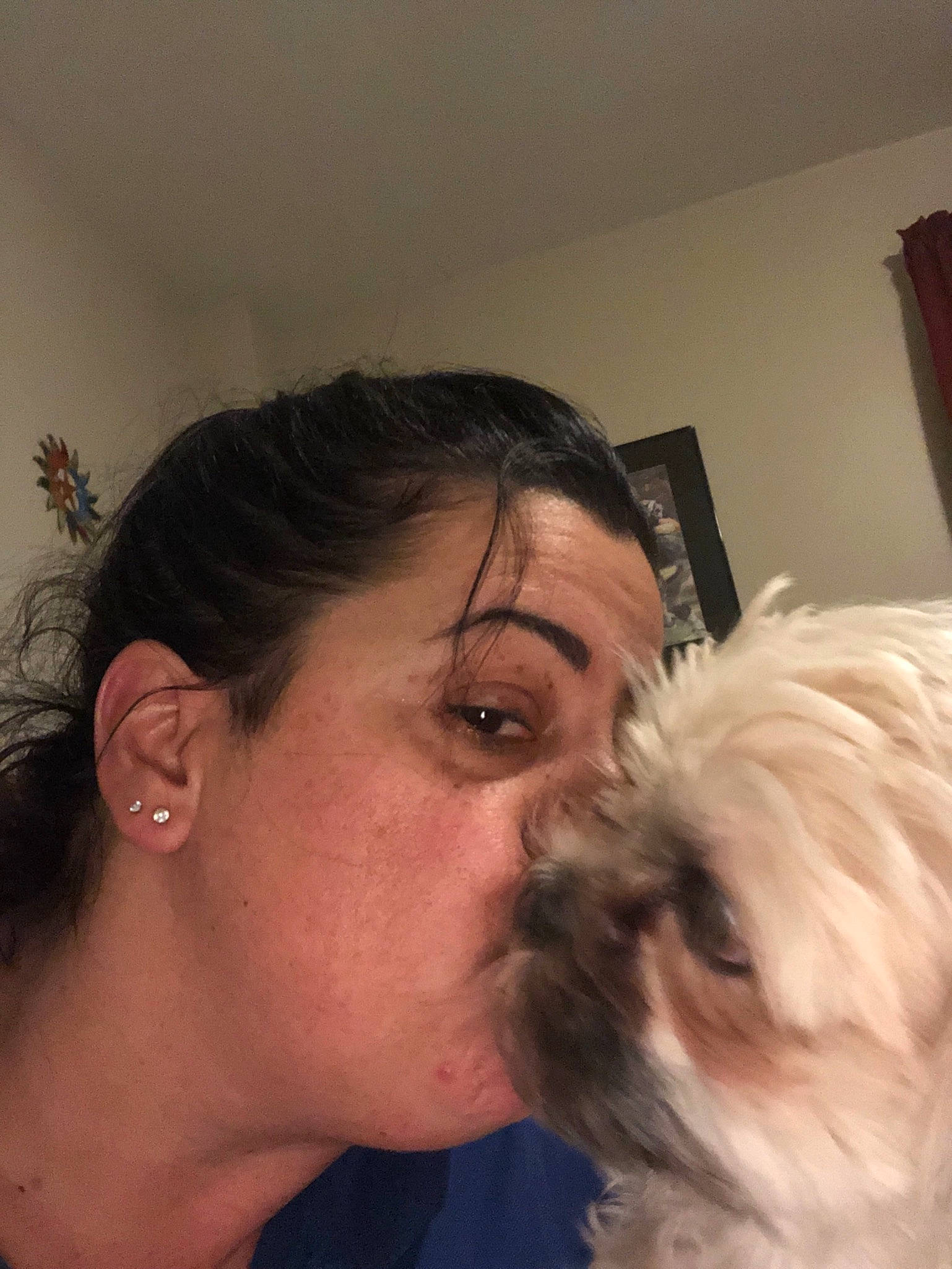 Gucci joined the competition — help win amazing prizes! carnivoran, chin, companion_dog, dog, dog_breed, dog_breed_group, dog_like_mammal, ear, eye, facial_hair, forehead, hair, mammal, nose, person, puppy, selfie, shih_tzu, skin, snout